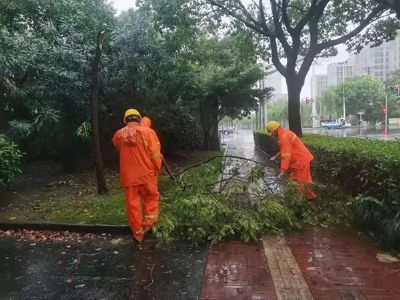 �G������̎��