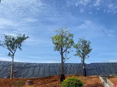 �V�ݾG�����̸���