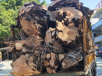 �V�ݘ�(sh��)�^����̎��