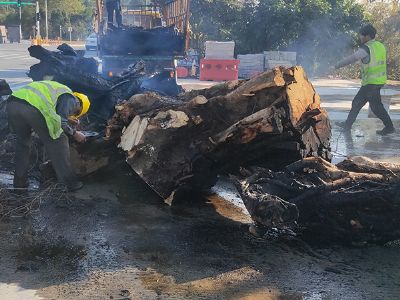 �V�ݘ�(sh��)�^����̎��