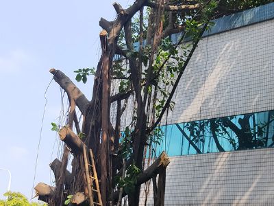 �Ї�(gu��)�Ƅ�(d��ng)��ɽ��˾�@�־G���޼��(xi��ng)Ŀ