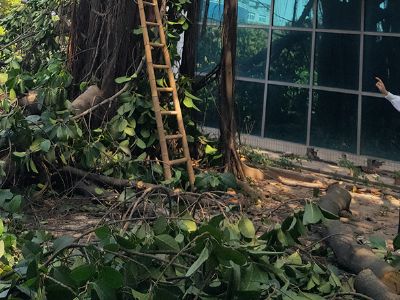 �Ї�(gu��)�Ƅ�(d��ng)��ɽ��˾�@�־G���޼��(xi��ng)Ŀ