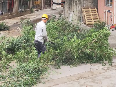 �V�ݘ�(sh��)ľ�����޼�